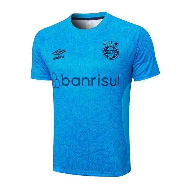 Trikot Trainingsshirt Grêmio FBPA 2024-2025 Blau